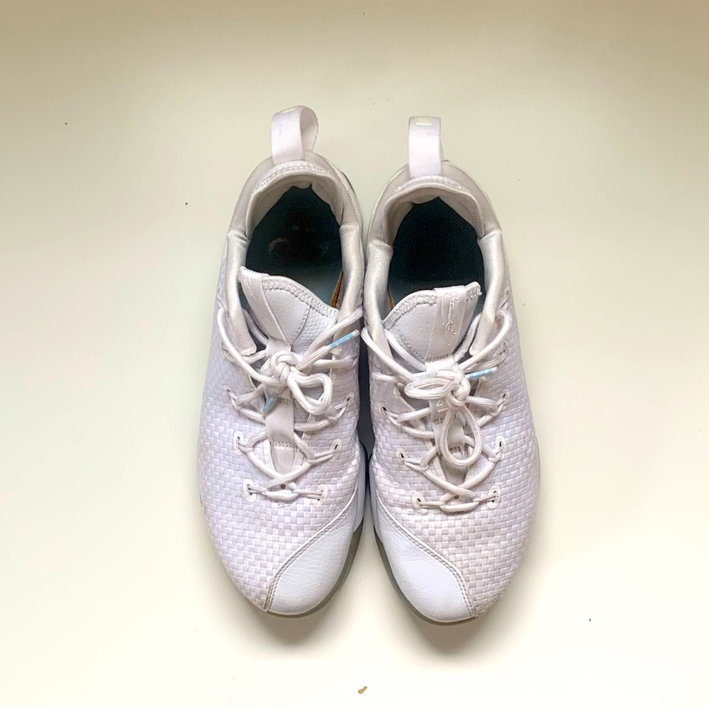 Lebron 14 Low White Ice